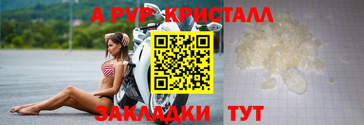 А ПВП СК Владимир