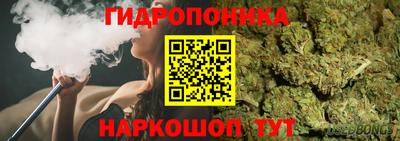 mdpv Лесосибирск