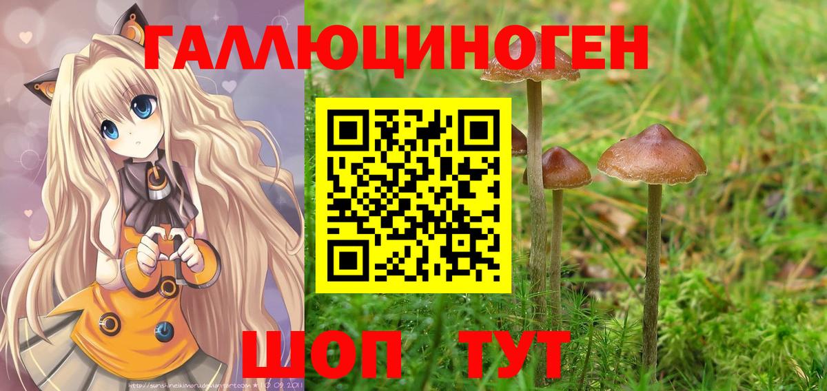 Галлюциногенные грибы Psilocybine cubensis  Вход с VPN  закладка  Псилоцибиновые грибы Cubensis  Владимир 