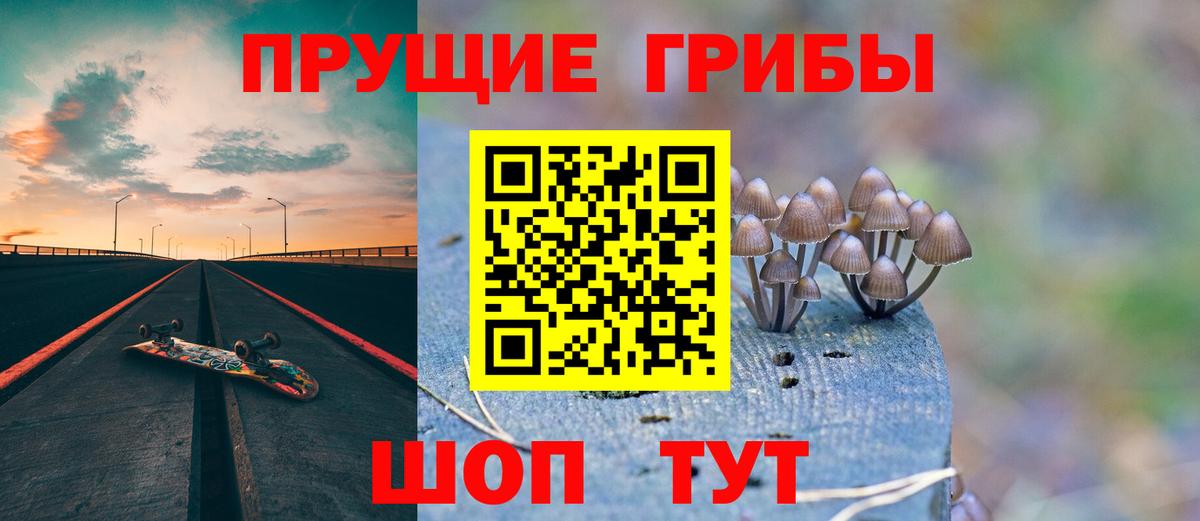 Галлюциногенные грибы мицелий Владимир